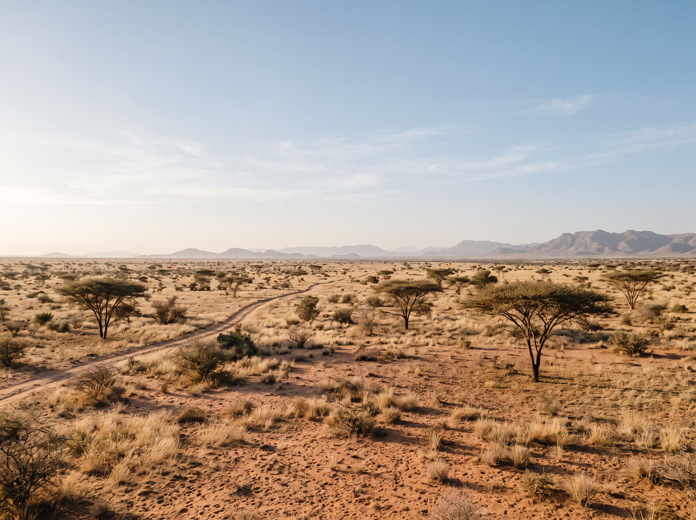 Expansive view of the Aysha hunting zone desert terrain in Ethiopia's Somali Region.